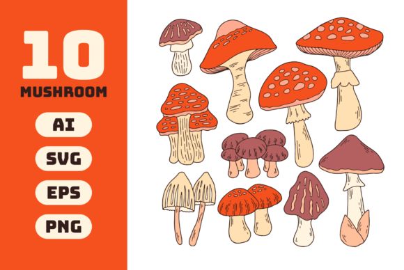 Mushroom Doodle Illustration Graphics